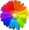 Программа для детей и родителей «Цветик – семицветик».